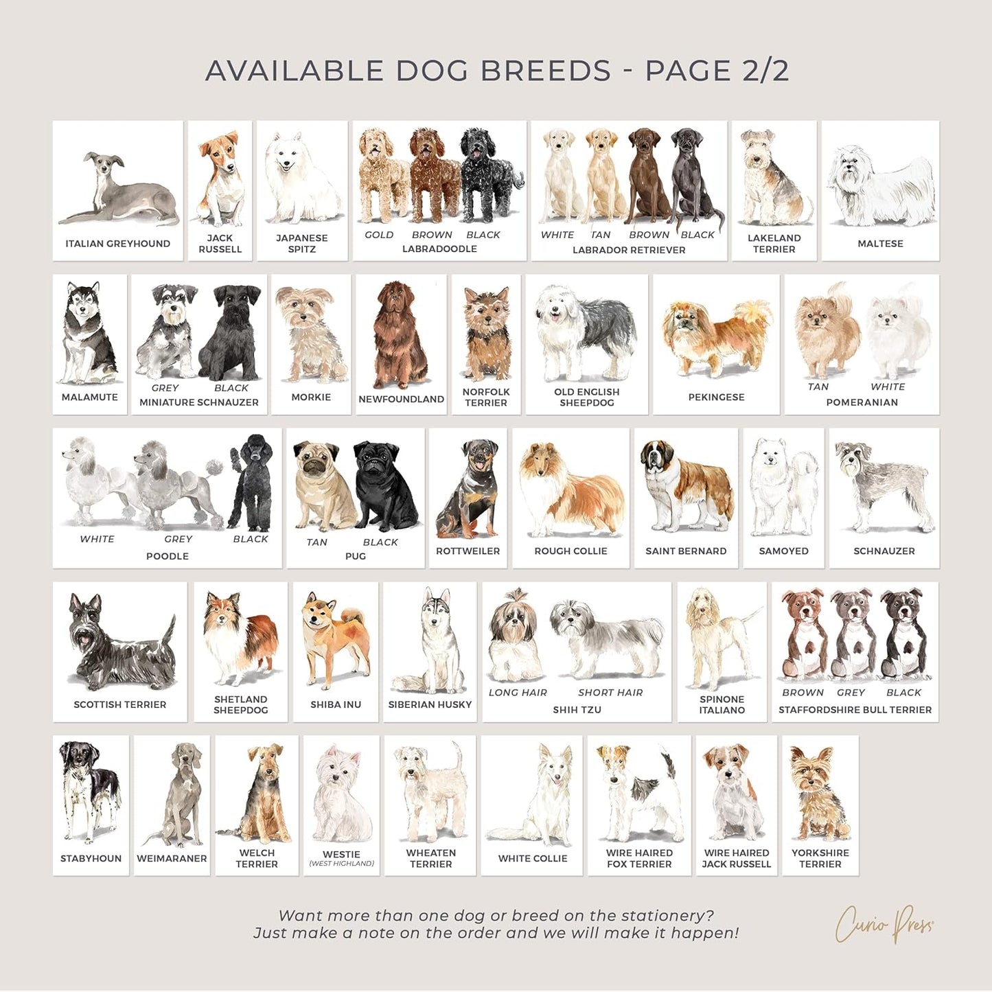 Personalized Cute Dog Breed FLAT CARDS with Envelopes for Women or Girls, Retreiver Bernese Yorkie Aussie - DOGS FLAT