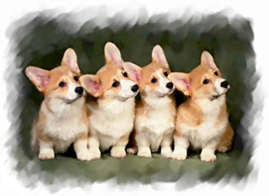 Pembroke Corgi pups Note Cards